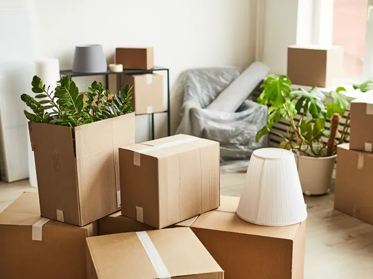 Find Moving Boxes Near Me in Battersea
